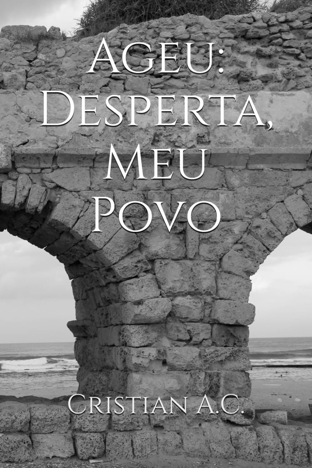 Ageu: Desperta, Meu Povo (Estudos Bíblicos: Livro por Livro)