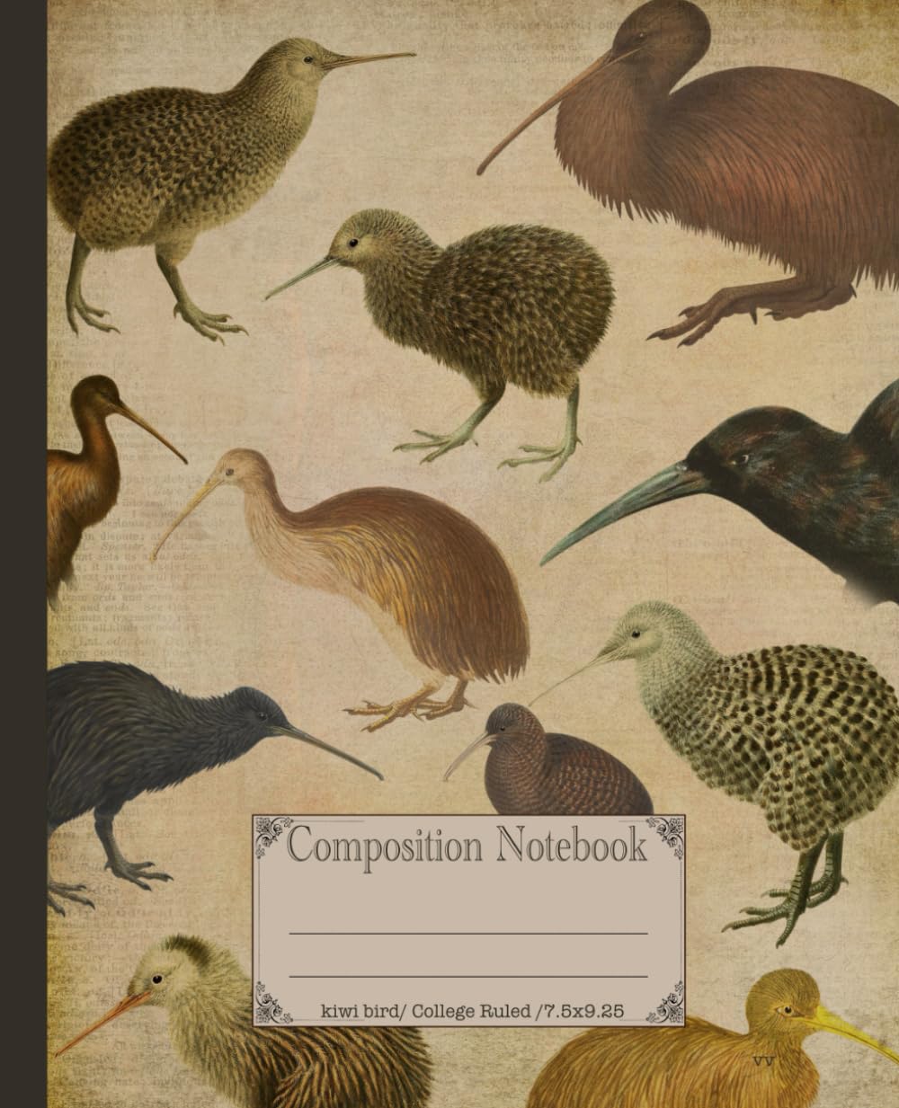 Composition Notebook. Kiwi Bird: Cute vintage avian journal. Aesthetic Apteryx zoology scientific illustration theme for school.