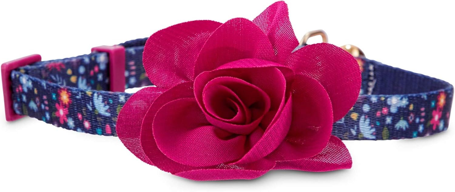 blossom co dog collar