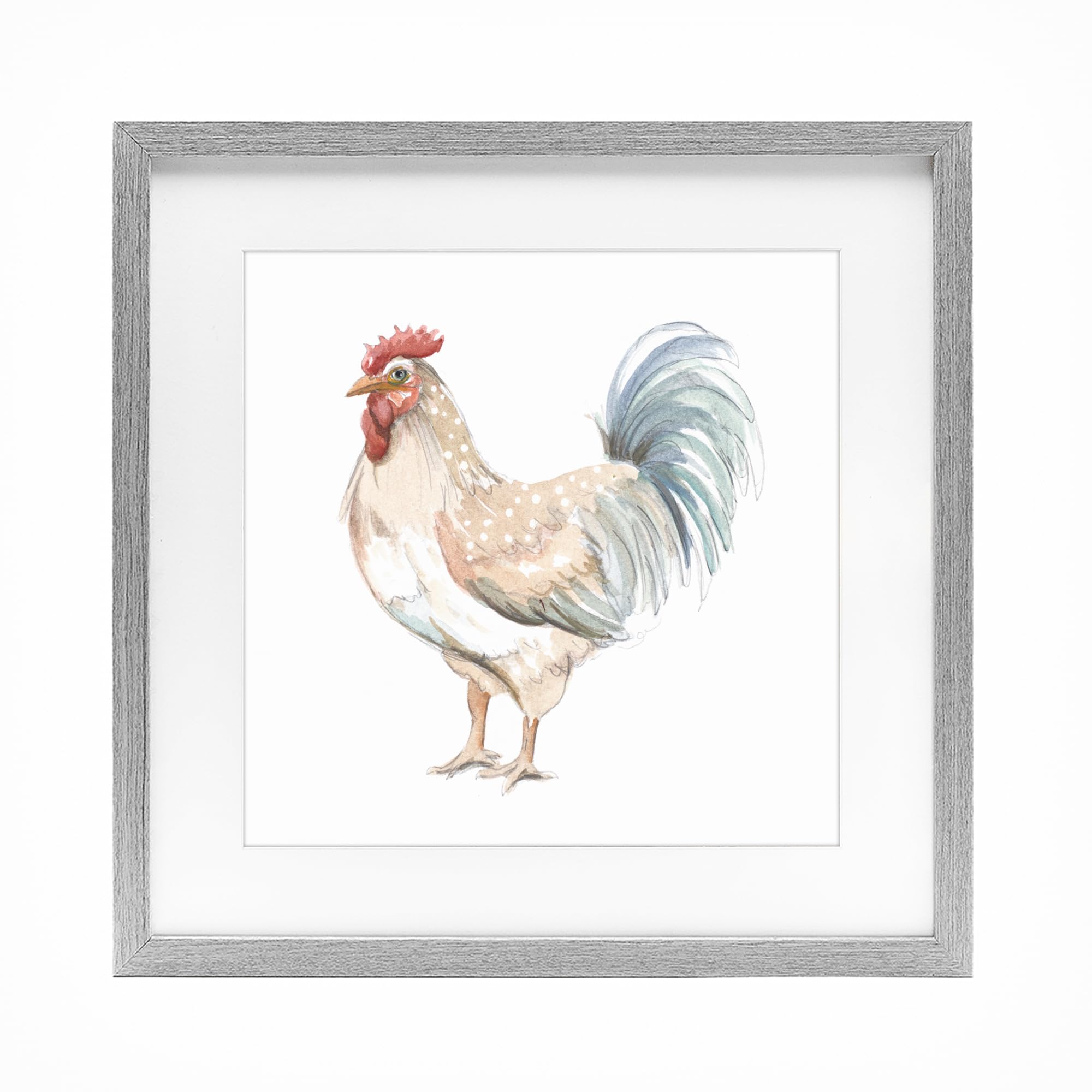 Stupell Industries 'Watercolor Rooster Sketch', Framed Print Under Glass, Gray, 16 x 16