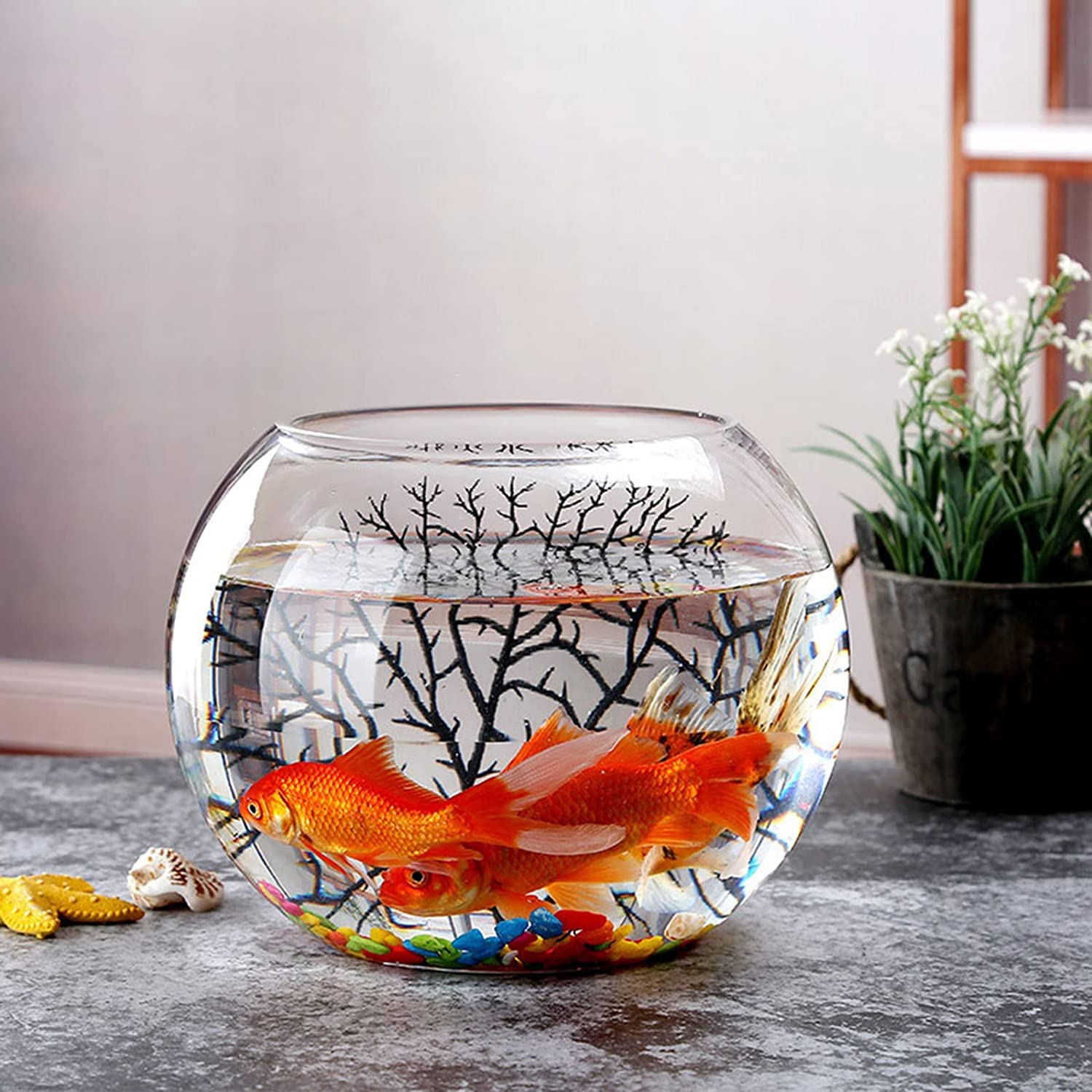 Amazon | 金魚鉢 水槽 丸型金魚鉢 ガラス 容器 タートルタンク