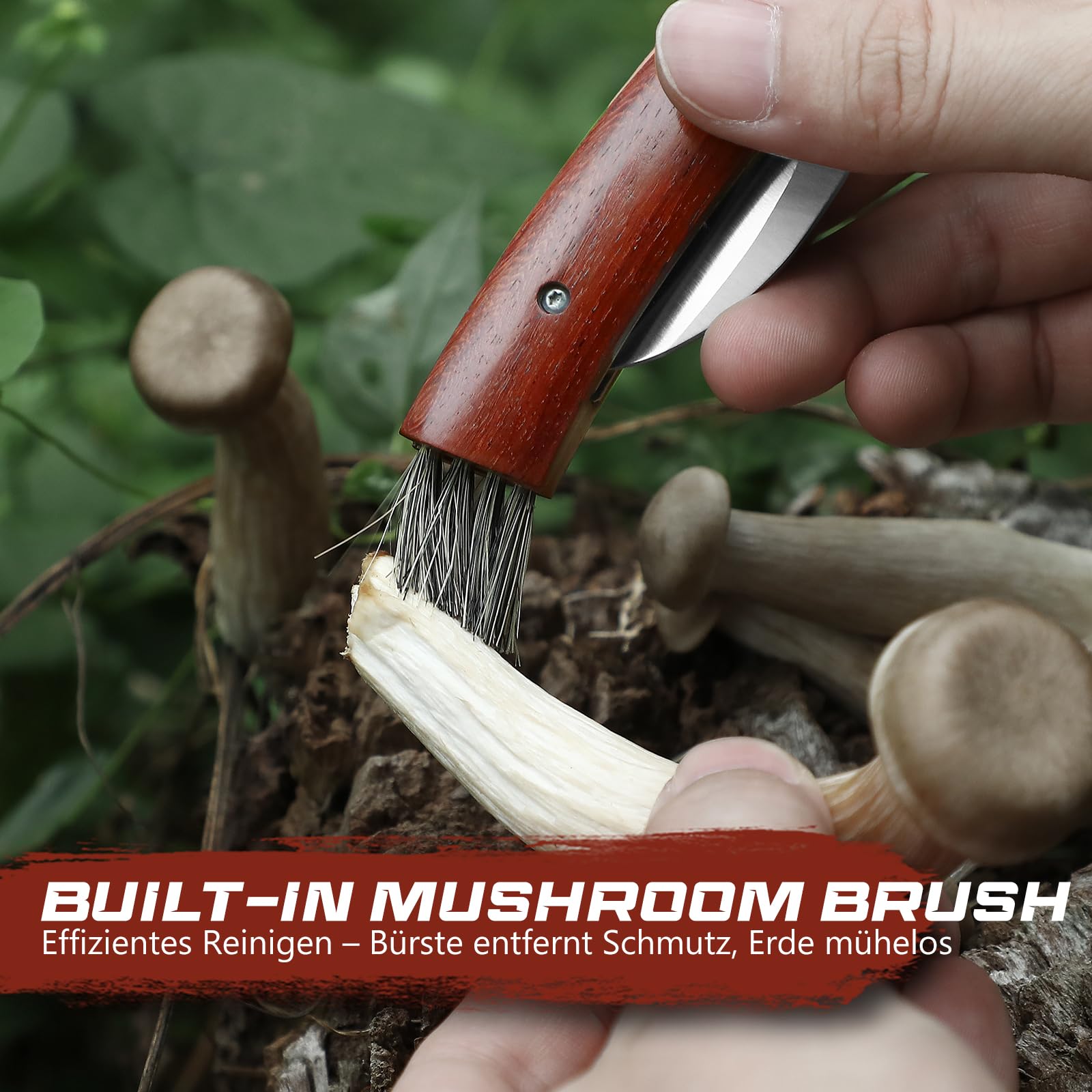 DRACHENADER Couteau champignon N-1, Couteau à champignons avec brosse/pinceau intégré, Liner Lock, étui en cuir, Acier 5Cr14MoV, manche en bois, parfait pour cueillir et nettoyer les champignons