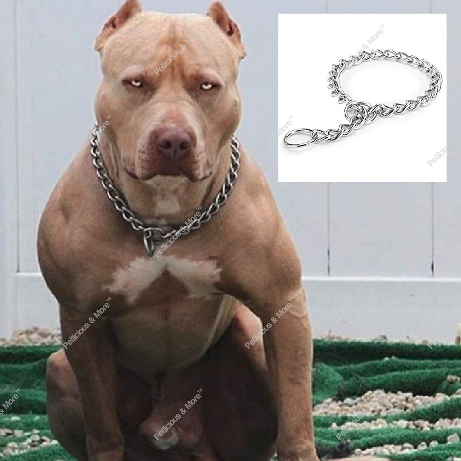 Petlicious & More Dogs Chrome Plated Grinder Design Training Choke Chain Collars (22 Inch Collar/2 cm Thick) (B07RDJDN5X) Amazon Price History, Amazon Price Tracker