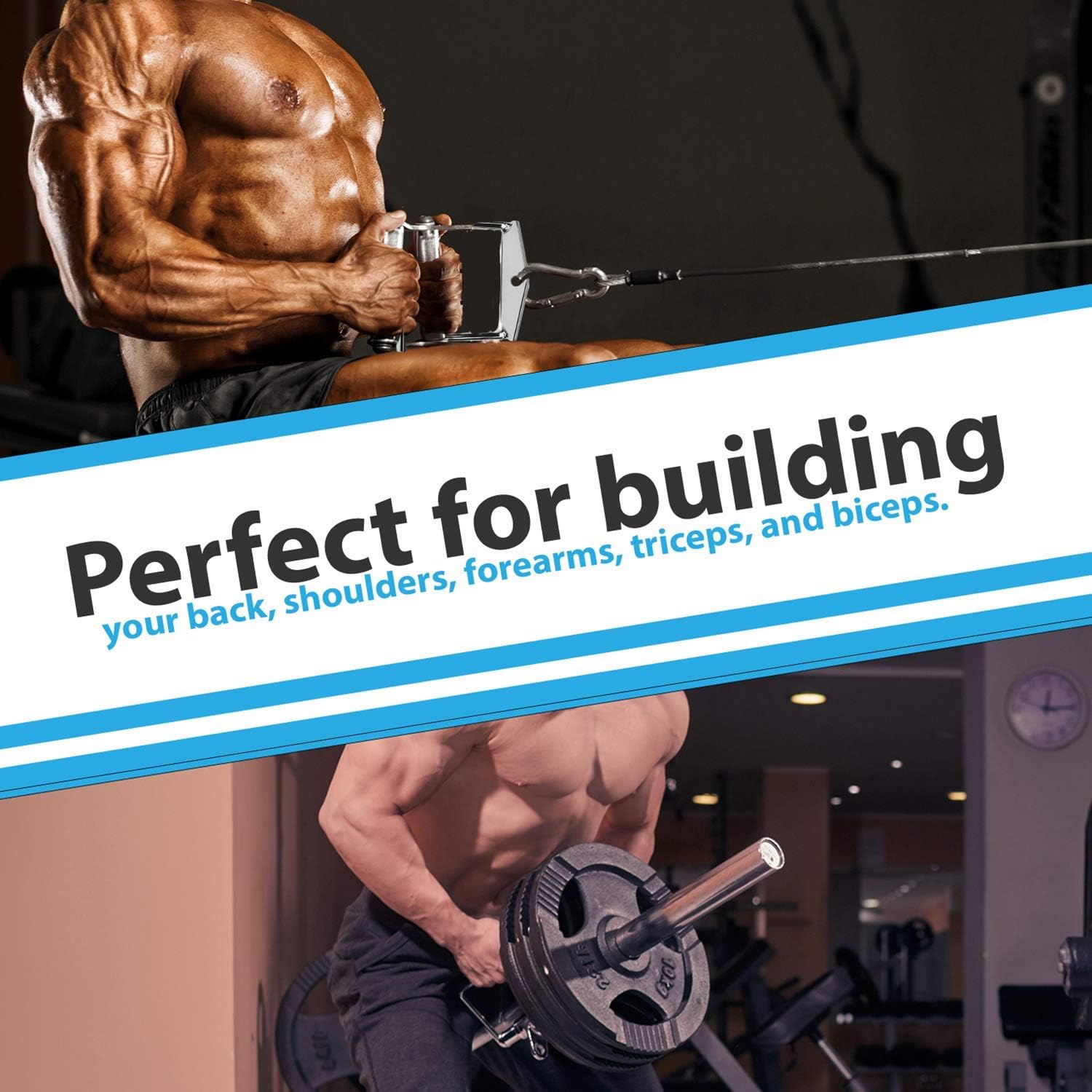 RIGERS Tricep Rope D-Handle Rotating V Shaped Press Down Bar (V Handle + Tricep Rope) : Sports & Outdoors