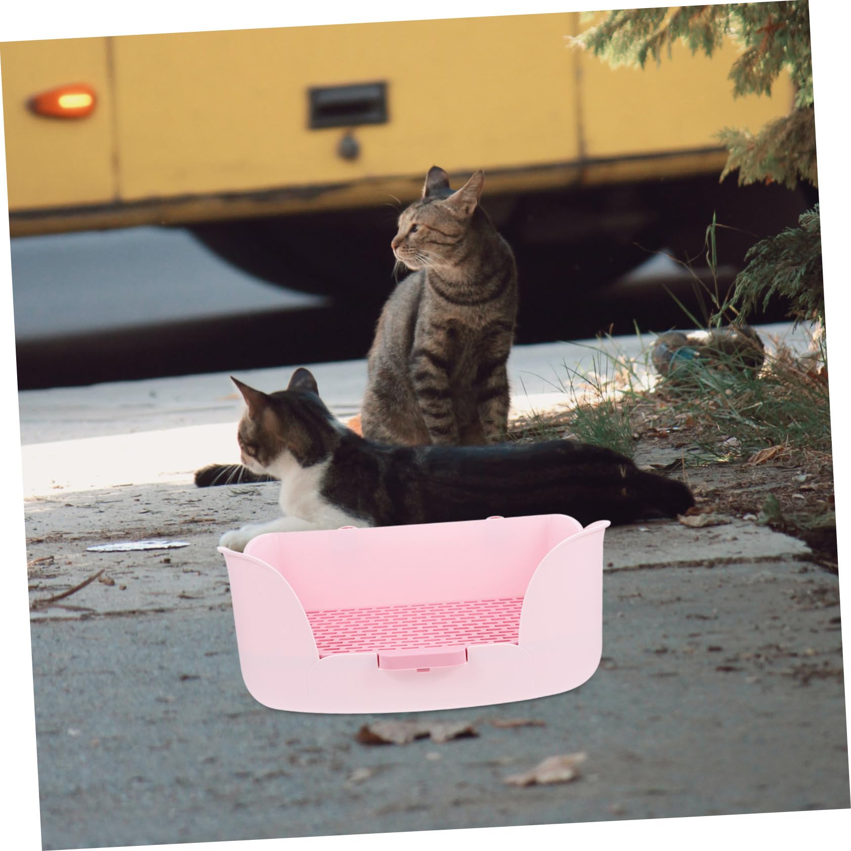 Lettiera per Piccoli Animali Toilette per Conigli e Cavia Vassoio per Addestramento Riutilizzabile Design Compatto e Portatile per Pulito e Confortevole