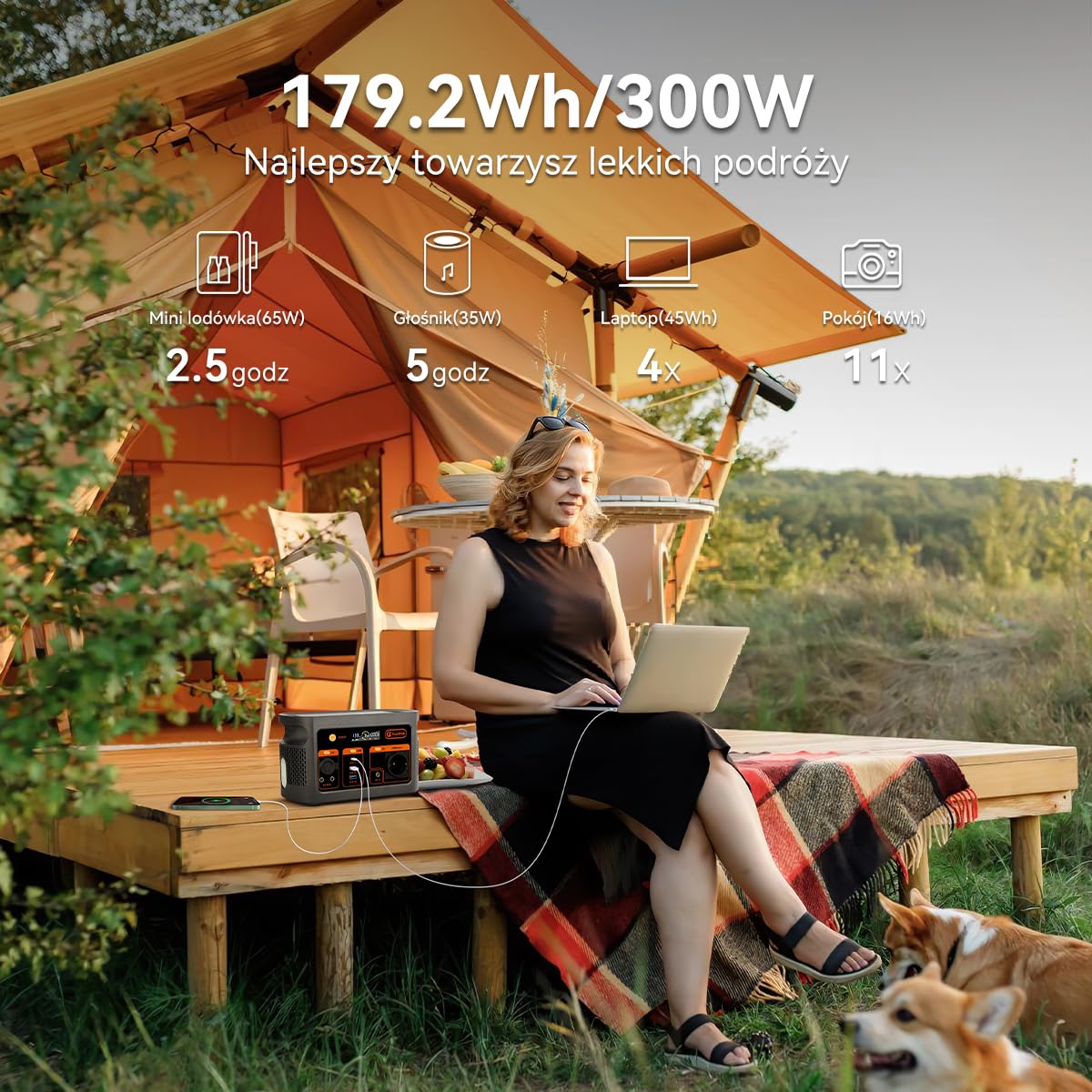 Flashfish Przenośna Elektrownia,Akumulator LiFePO4 179 Wh, Generator Słoneczny o Mocy Wyjściowej 300 W AC (moc szczytowa 600 W), UPS, Pełne Ładowanie w 70 Minut,Bateria Zapasowa do Domu i na Kemping