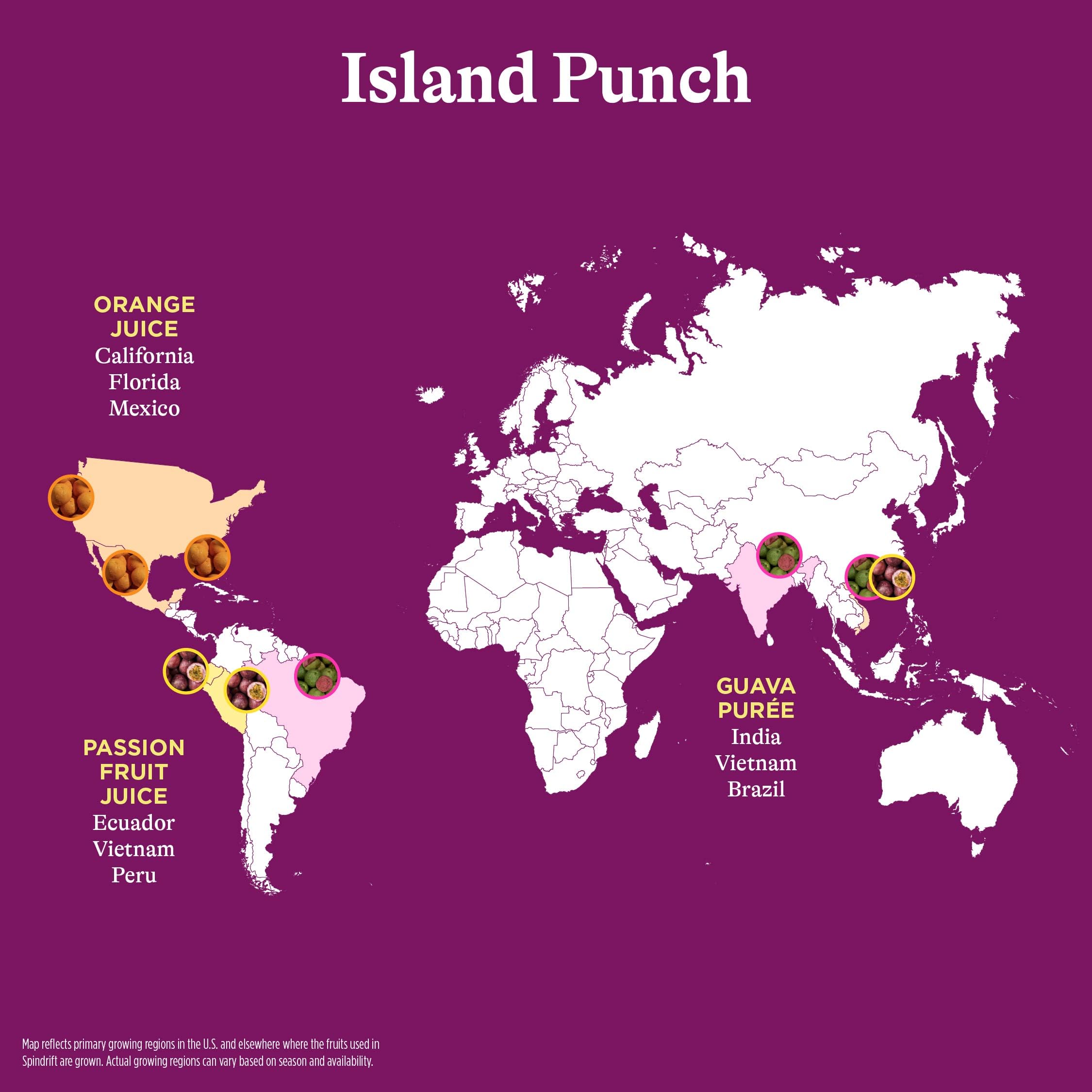 Spindrift Island Punch Can 12 Ounce (Pack of 24)