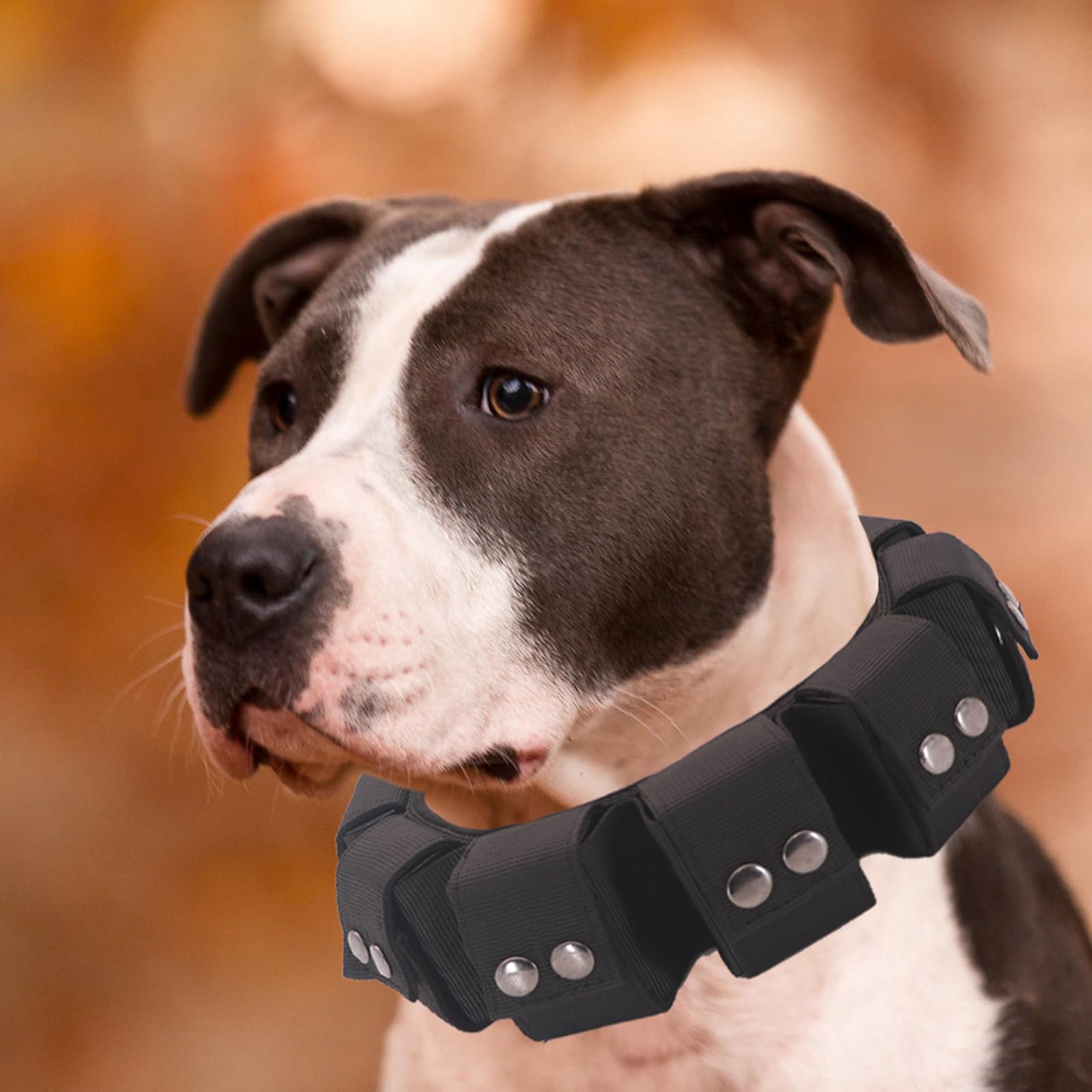 Collare tattico per cani, collare per cani ponderato con pesi, per addestramento ed esercizio del cane, pesi liberi, cani di taglia piccola, media e grande