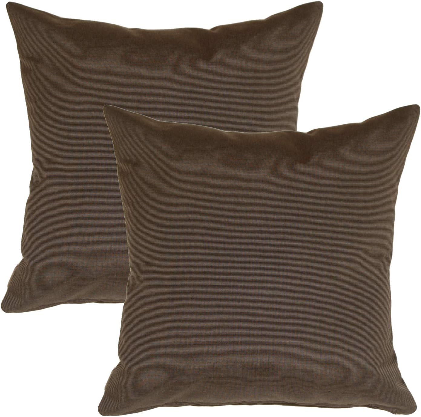 Pillow Decor Sunbrella Indoor Outdoor Throw Pillow, Melon, 20"x20" (Set of 2) - Inserts Included