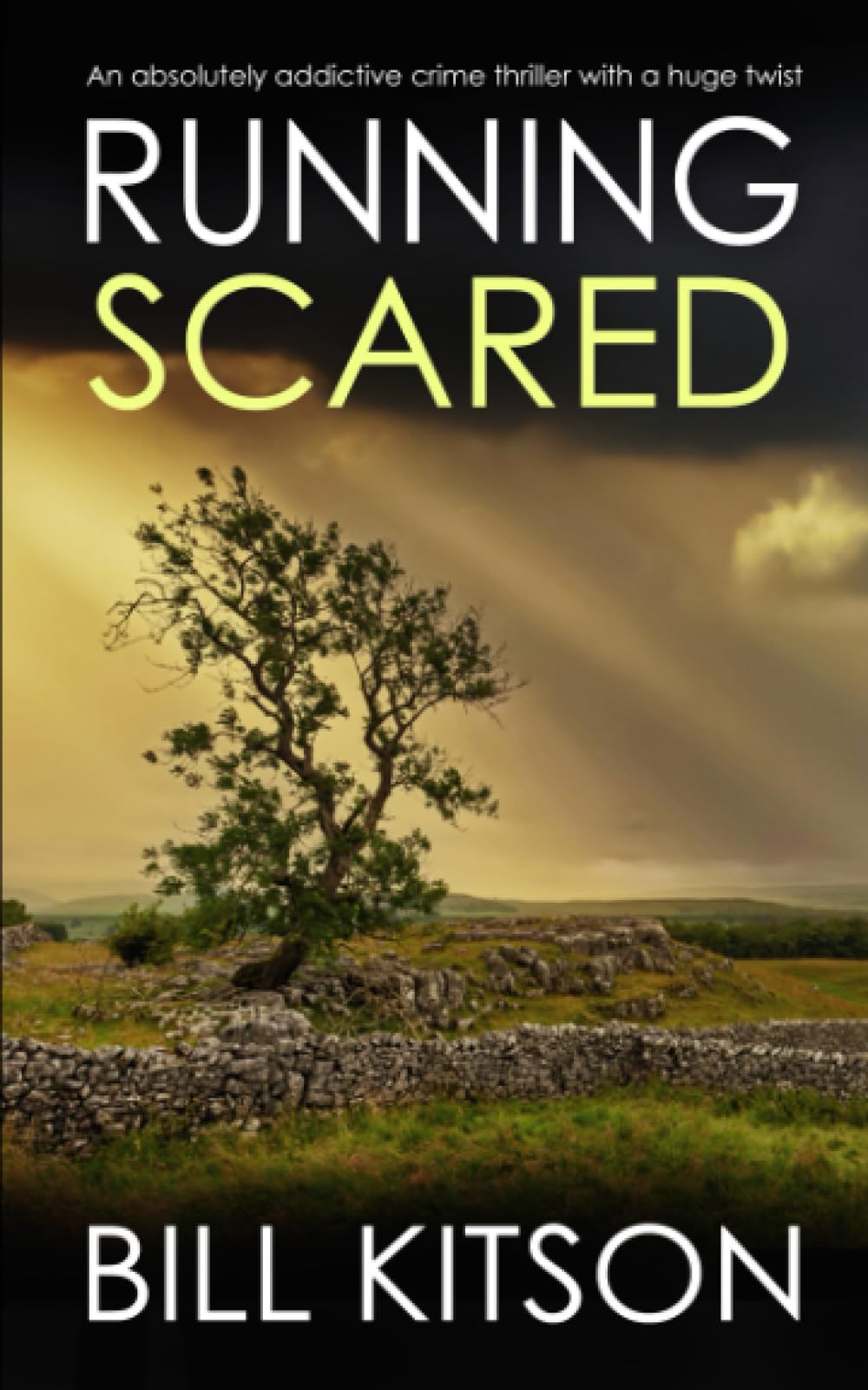 RUNNING SCARED an absolutely addictive crime thriller with a huge twist (Detective Mike Nash)