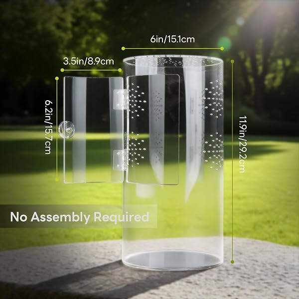 Biigdan Terrarium Cylindrique, Vivarium Transparent à 360° - Terrarium Phasme en Acrylique, Boîte d'Élevage pour Reptiles, Araignée, Escargots, Mante Religieuse, Lézard, Rainette, Coléoptère - 5