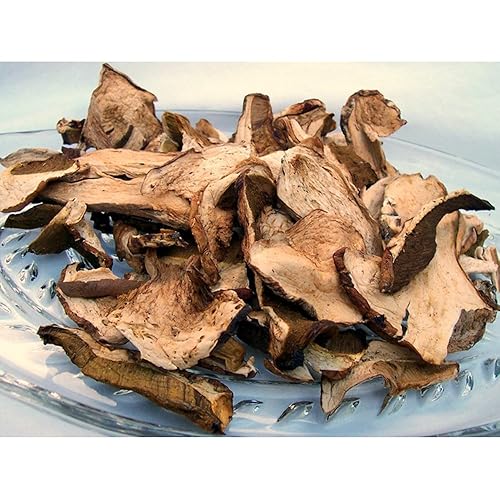 Dried Europea Porcini hongos