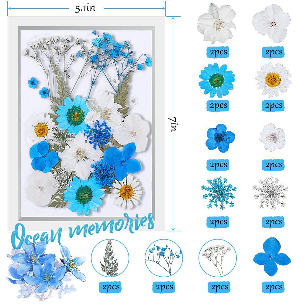 72 Fiori Secchi Naturali Per Resina E Artigianato - Decorativi E Sicuri - Foto 3