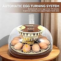 Vista 4 de Nest I - Incubadora de 12 huevos para principiantes, giro automático de huevos, humedad constante con botella de agua de recarga automática
