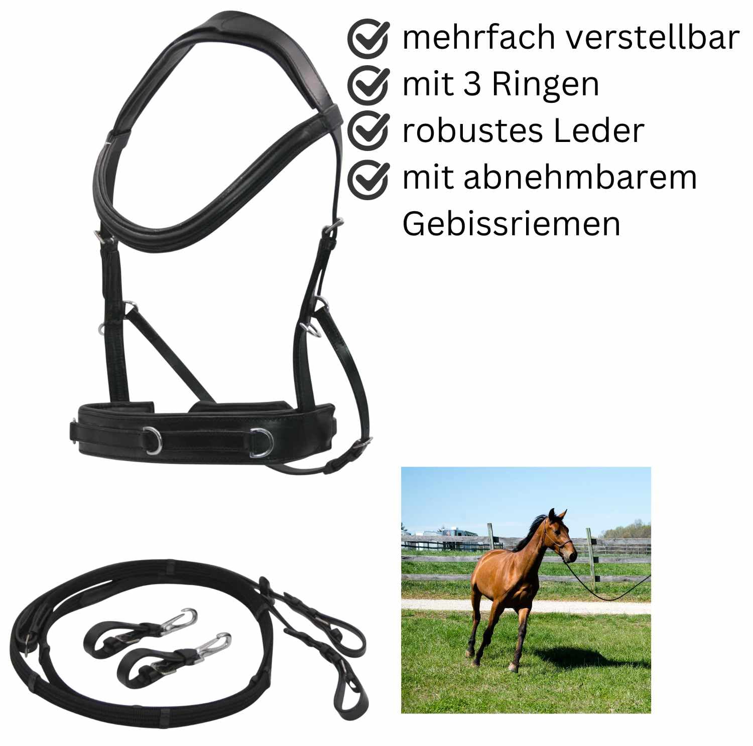 AMKA Reitkappzaum mit Gebissverschnallung zum Longieren und Reiten gebisslos oder mit Gebiss VB, WB, XWB
