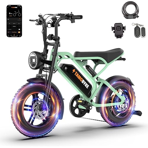 T16 Electric Bike for Teens & Childs, 1000W Motor 48V15.6Ah Removable Battery, 30MPH Off-Road Electric Bicycle,16"Fat Tire Ebike for Kids, 7-Speed,Dual Hydraulic Brakes, Fits Riders 4'5"-5'4"