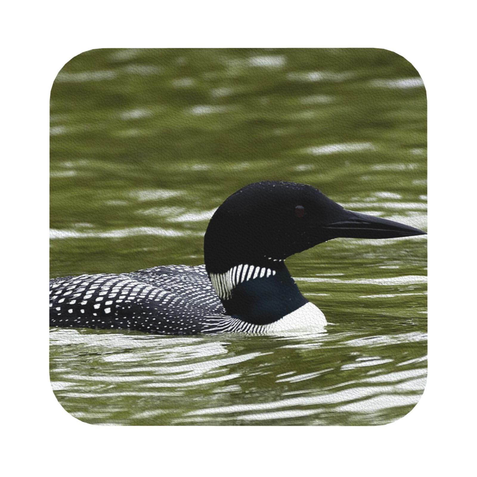 Loon Nature Birds PU Leather Coasters Set of 6 Square Drink Coasters