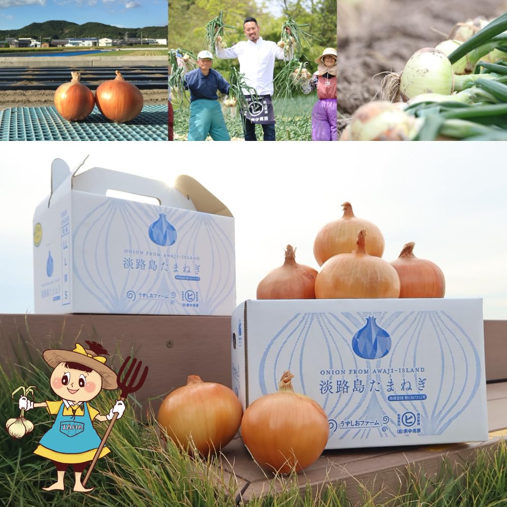 Amazon.co.jp: 淡路島産玉ねぎ【うずしお追熟甘玉ねぎ 訳あり 10kg】東