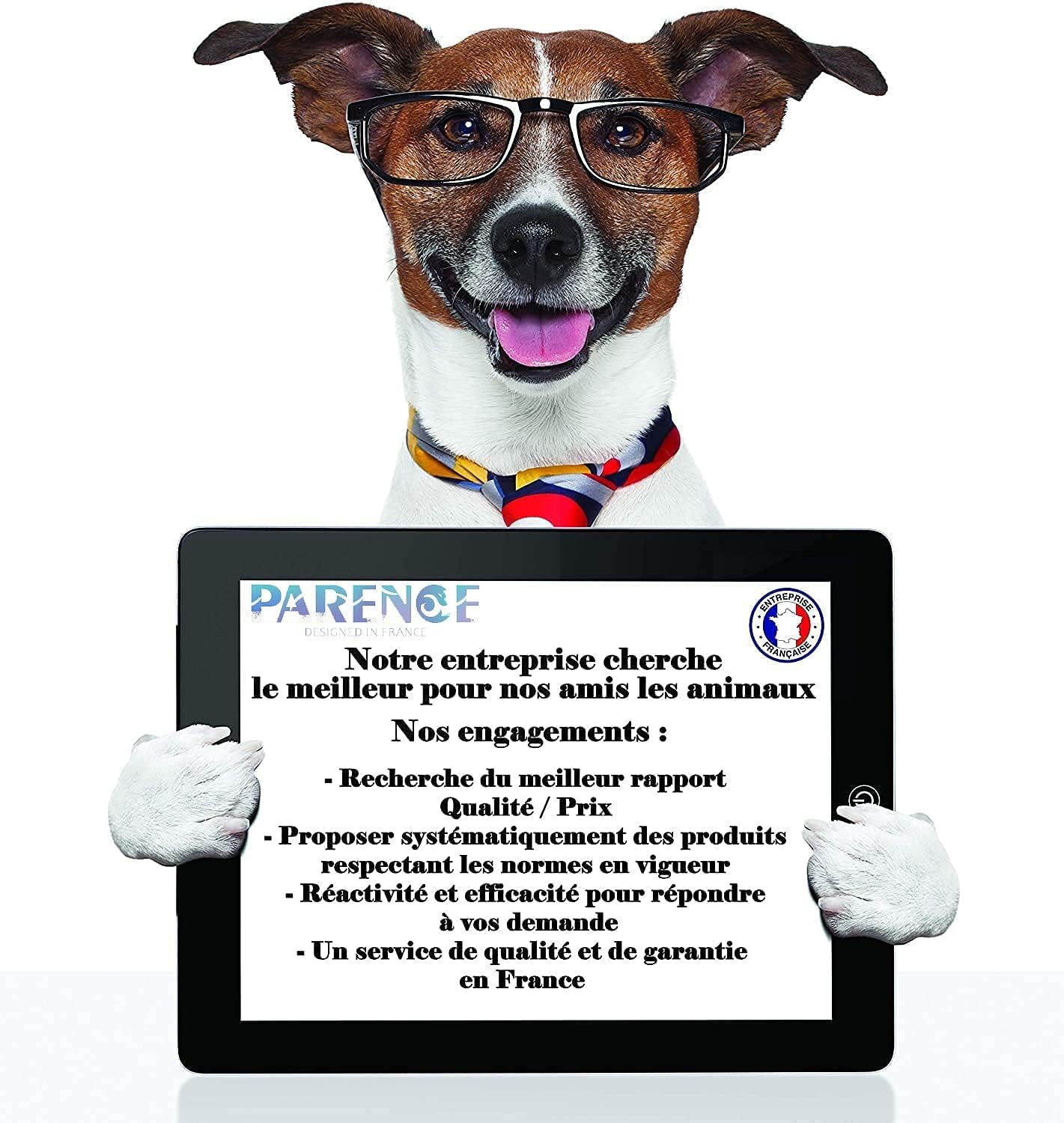 Ciotola Pieghevole Per Cani E Gatti | In Silicone Alimentare | Da Viaggio | Leggera E Igienica - Foto 9