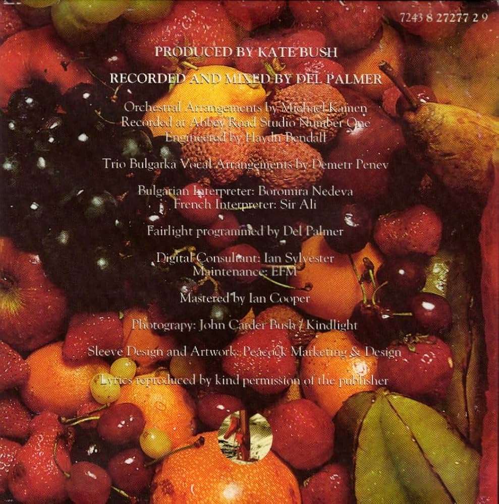 洋楽 KATE BUSH THE RED SHOES CD Kate BUSH - The Red Shoes - Amazon.com Music