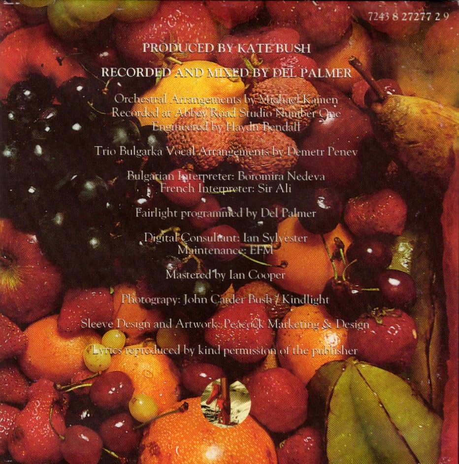 Miniatura 3 de Los zapatos rojos Audio Kate BUSH