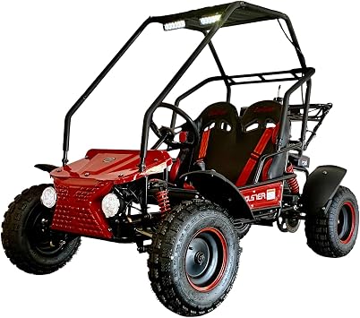 Venom Ultimate 125CC Premium 2-Seater Go Kart GK-6125B Automatic with Reverse, LED Headlights, Safety Speed Governor, Off-Road Buggy