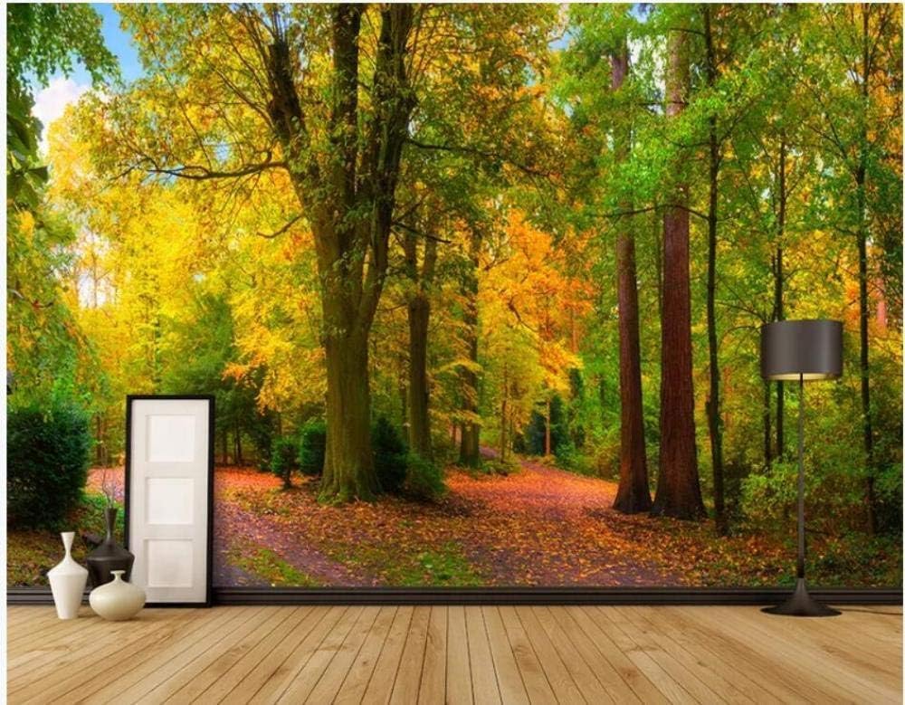 Papier peint paysage d'automne 3D habillage mural intissé 150x105cm
