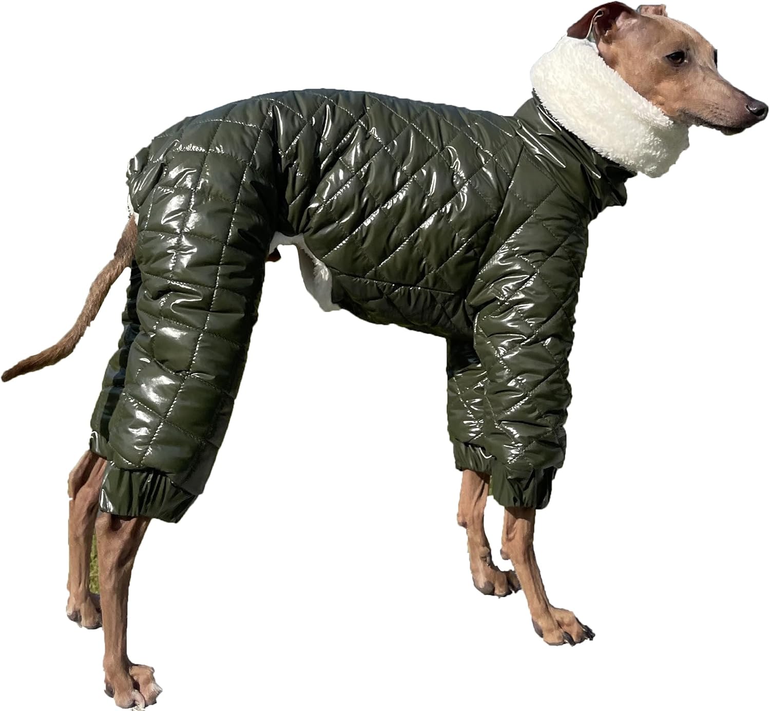 D DOGGY STAR Italian Greyhound Snowsuit Winter Thick