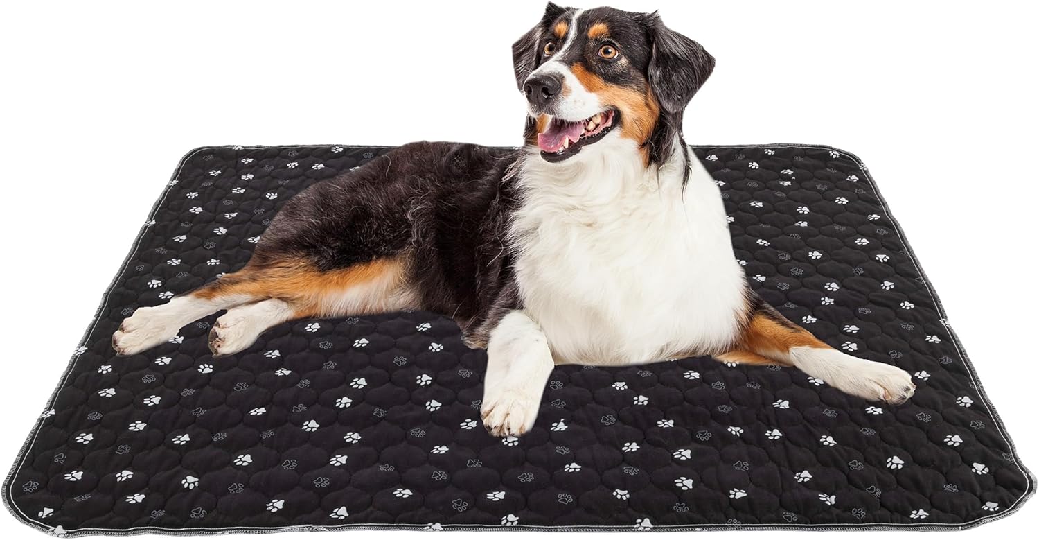 Washable Pee Pads for Dogs - 2-Pack 36” x 48” Reusable Puppy Pads for Dog Potty Training, Whelping, or Crate - Grooming Glove Included - Ultra-Absorbent and Leak-Resistant Dog Pads by PETMAKER (Black)