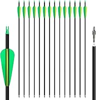Northspoor 14-Pack 30" Carbon Archery Arrows Spine 500 Removable Tips - Hunting Practice for Recurve Compound Longbows