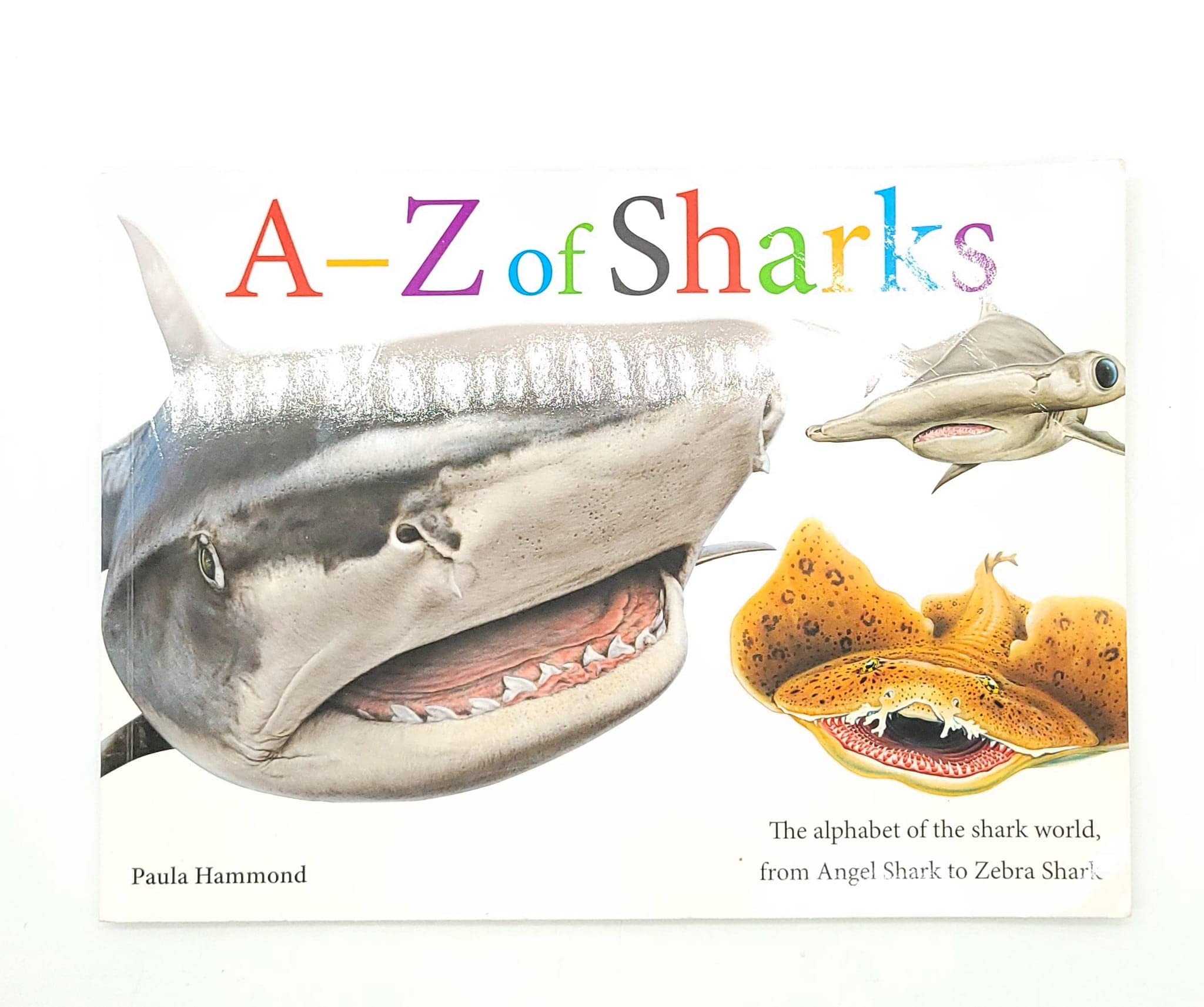 A-Z of Sharks - The Alphabet of the Shark World: Paula Hammond