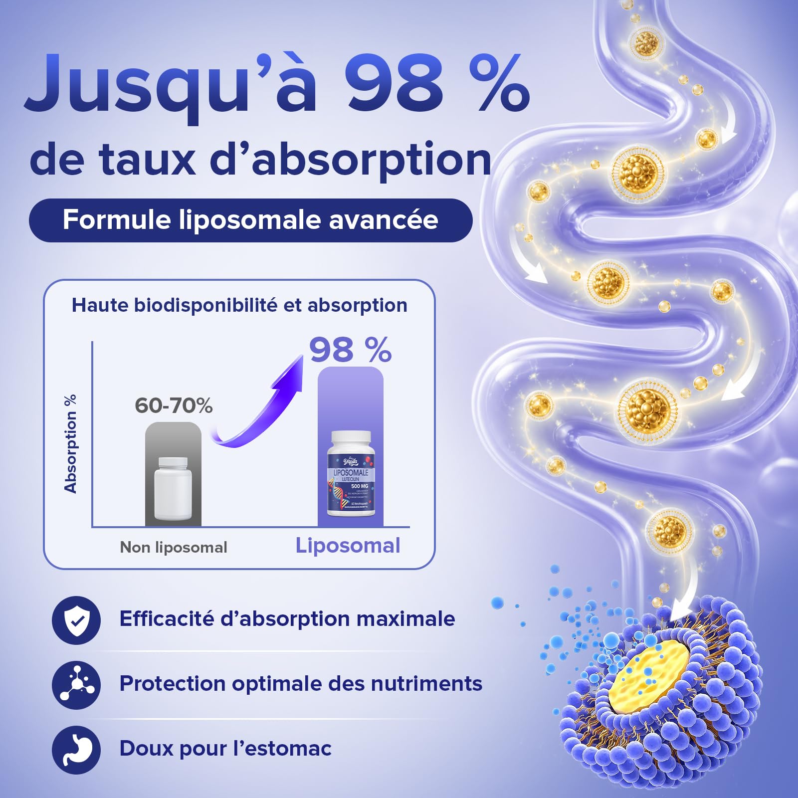 Lutéoline Liposomale Gélules 500 mg (2 Paquets)