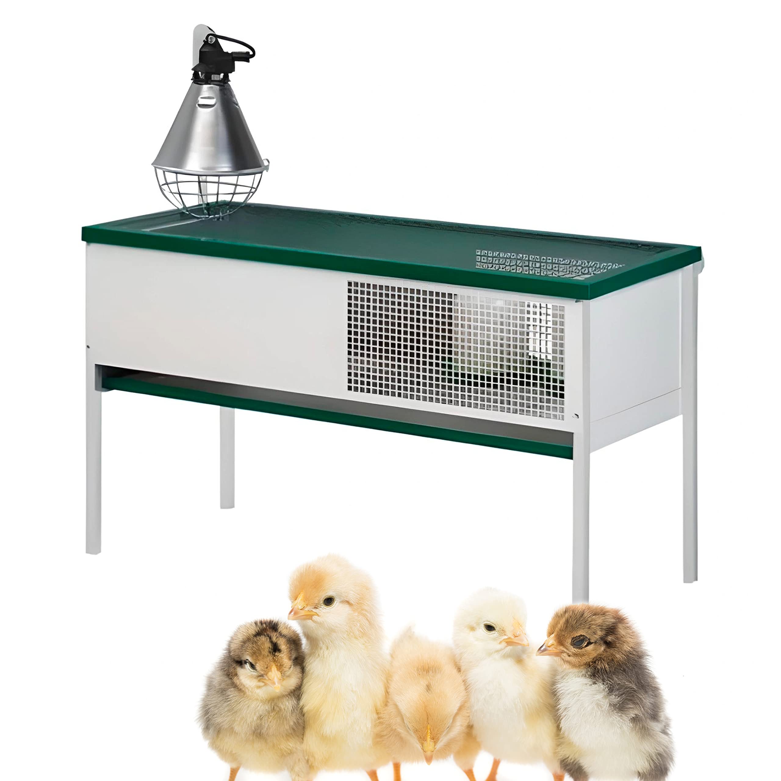 FINCA CASAREJO Criadora para Pollitos Eco - Criadora de Pollitos con Lámpara de Infrarrojos - Capacidad 50 - Incluye Gorro de Lana y Guía de Alimentación de Gallinas