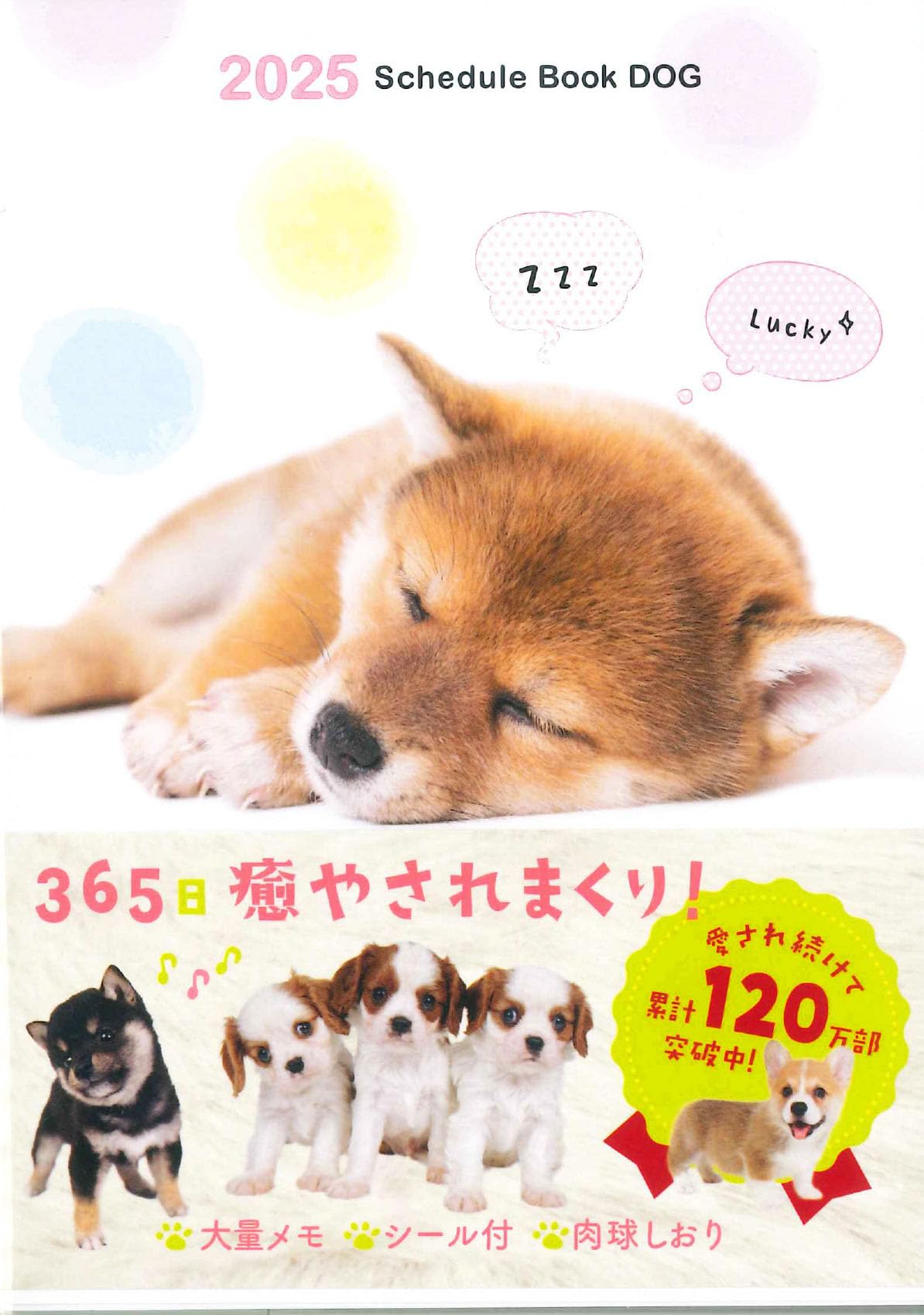 【中古】 Ｓｃｈｅｄｕｌｅ・ｄｉａｒｙ　＆　ｍｏｎｅｙ　ｂｏｏｋ ２００８/永岡書店/森田米雄 2025 Lucky Schedule, Diary & Money Book Dog (永岡書店の手帳
