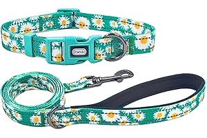 Daisy Dream Dog Collar and Leash Set