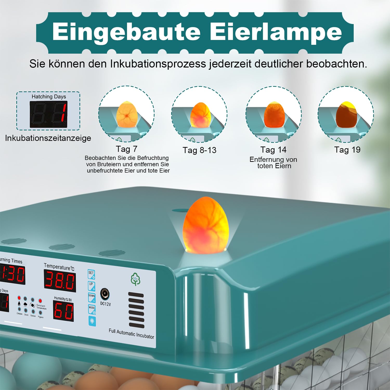 CoInceptus Brutautomat Vollautomatisch Inkubator mit 120 Eier, Brutkasten für Hühner & Wachteln automatischem Wenden, Feuchtigkeitsanzeige und 4 Inkubationsmodus Automatisches Wasser Brutmaschine