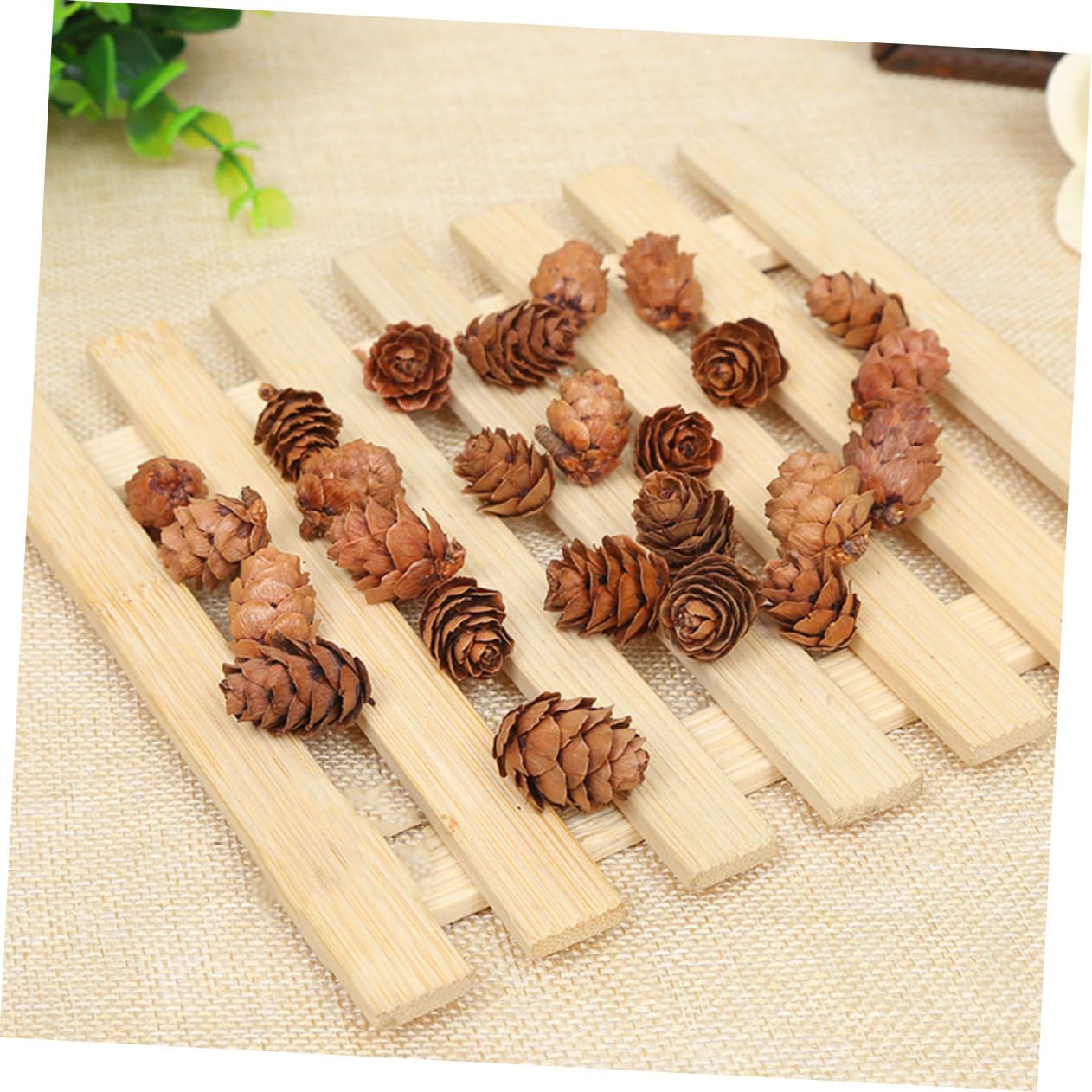 210piezas Decoraciones De Piñas Naturales Secas De Piñas De Adorno Vegetal para Acción De Gracias y Navidad para Decoración De Hogar