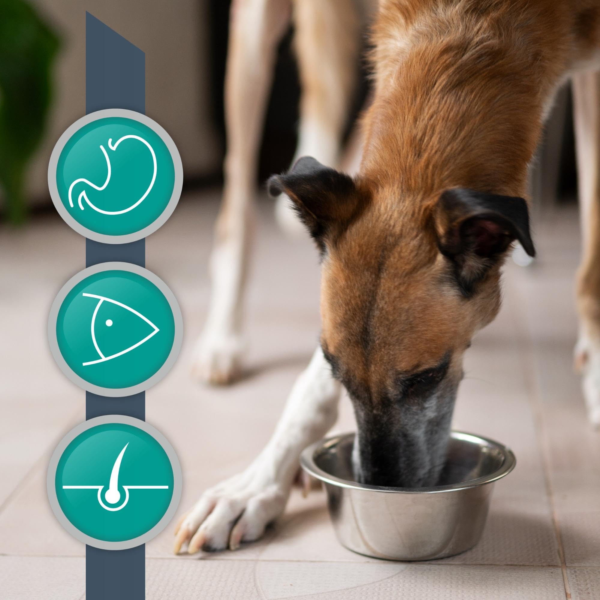 VET EXPERT HYPOALLERGENIC ULTRA - sucha karma weterynaryjna dla psów z alergią i nietolerancją pokarmową (Opakowanie 8 kg)