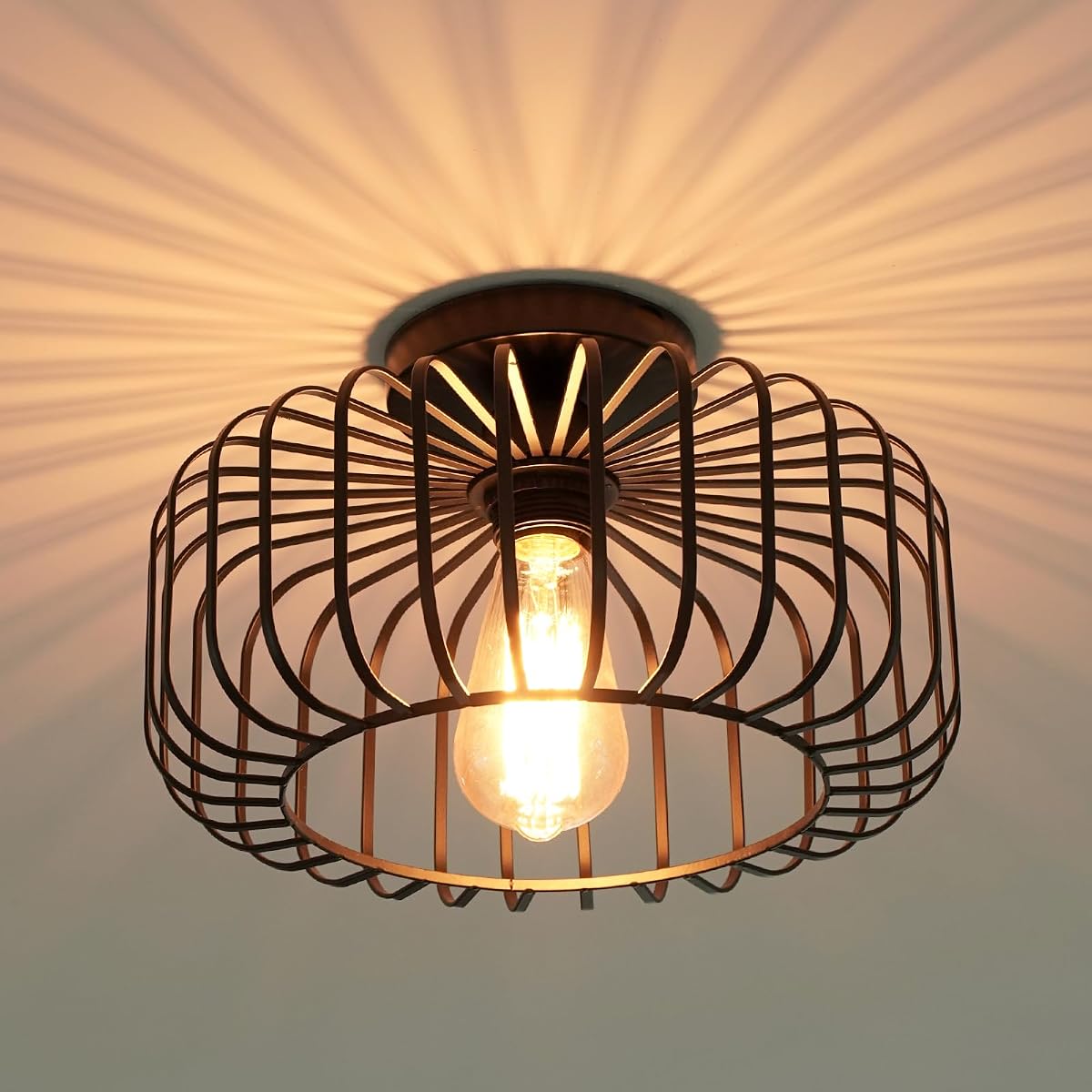 FRIDEKO HOME Black Sunburst Ceiling Light Hallway Lighting Fixtures 11.22"