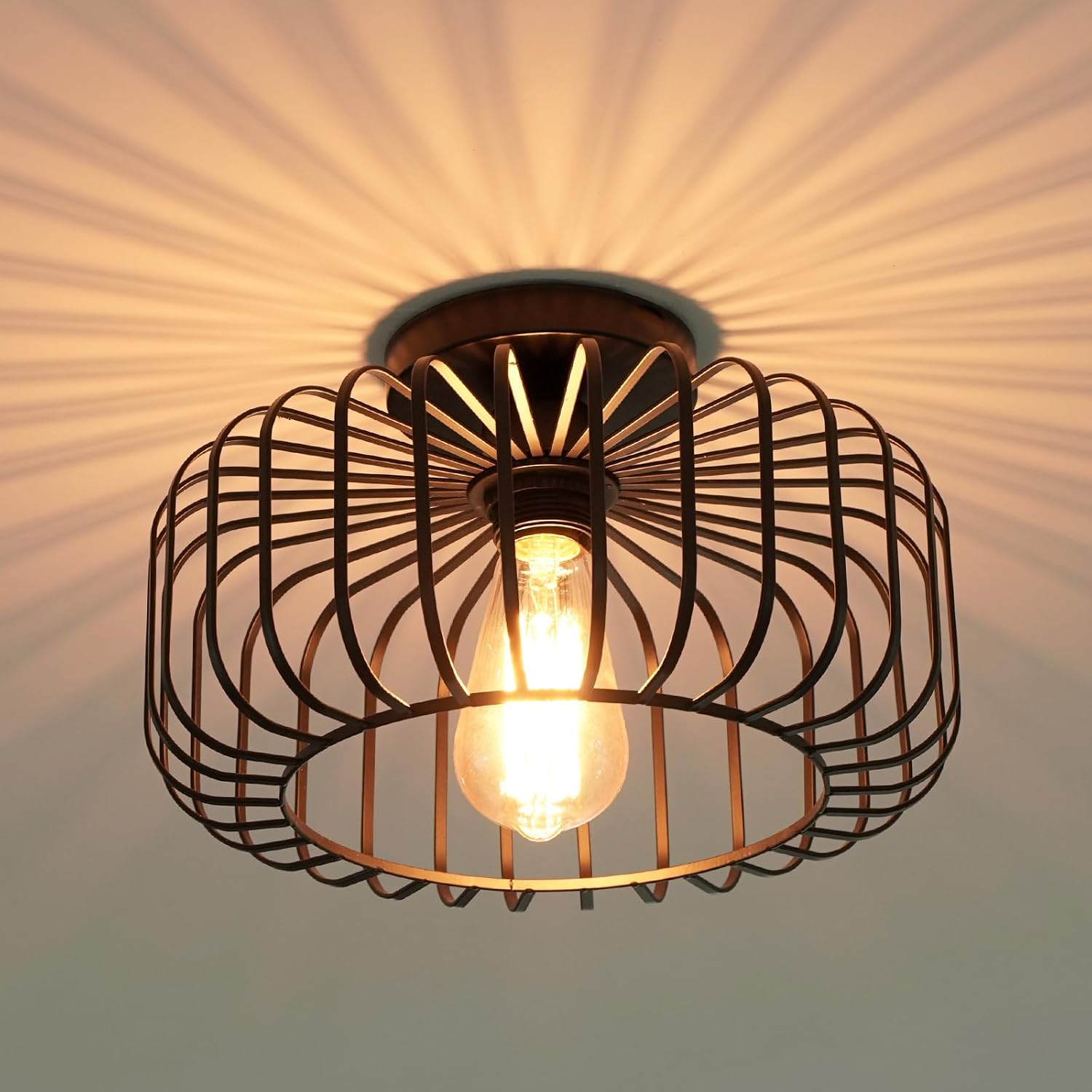 FRIDEKO HOME Black Sunburst Ceiling Light Hallway Lighting Fixtures 11.22"