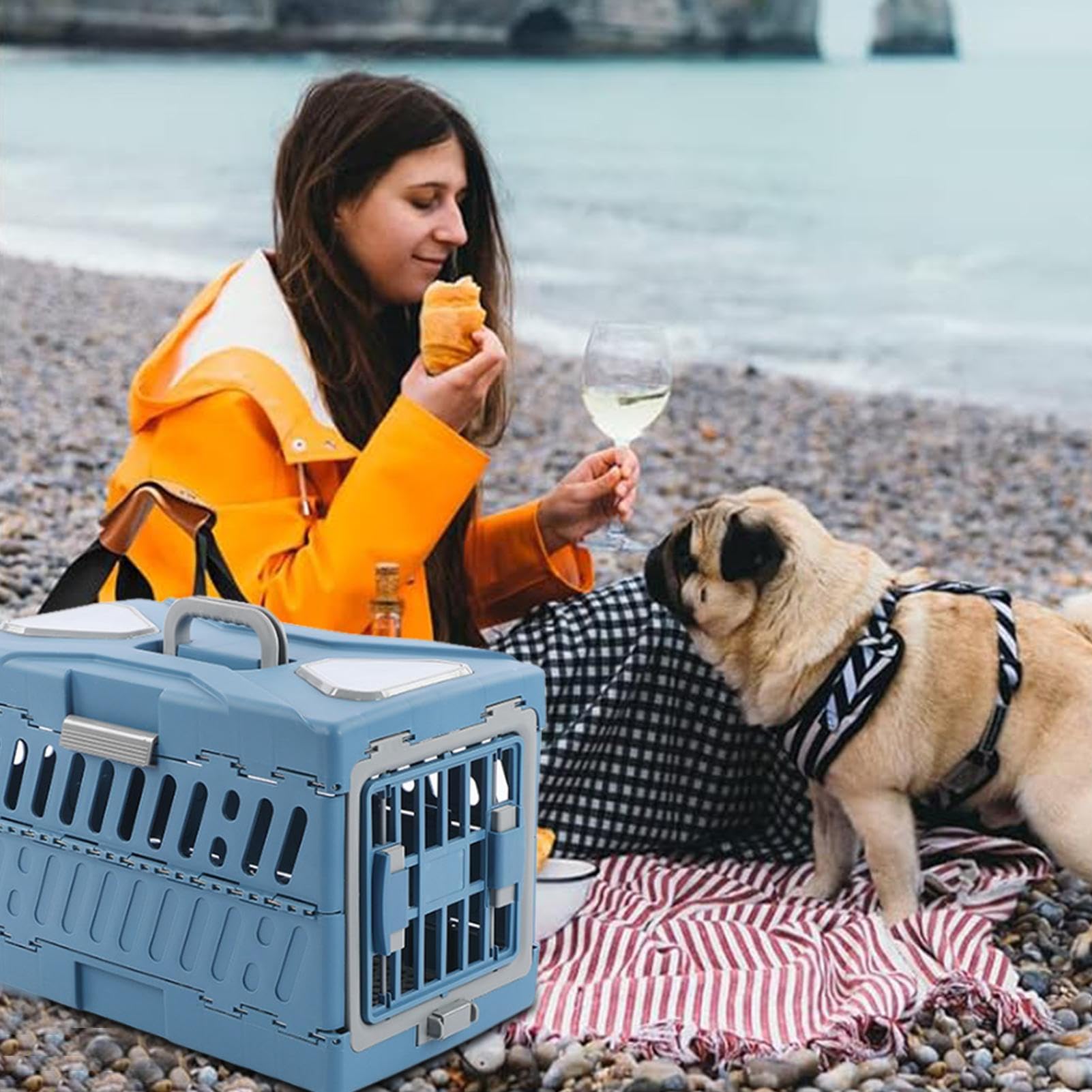 Transportín para Mascotas Bolso Transportador Plegable y Portátil | Transportín Pequeño con Asa Para Gatitos Y Cachorros En Viajes De Avión, Coche, Camping Y