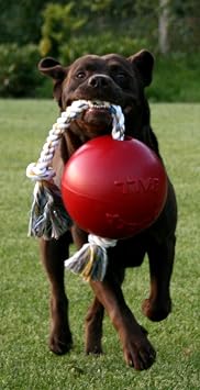 Jolly Pets Romp-n-Roll Ball - 6