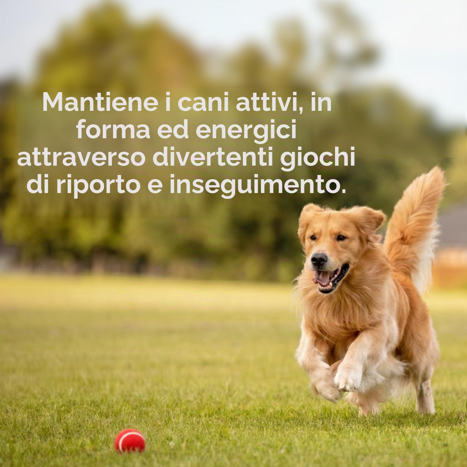 Big Game Hunters Palla da tennis a doppia resistenza per cani indistruttibile