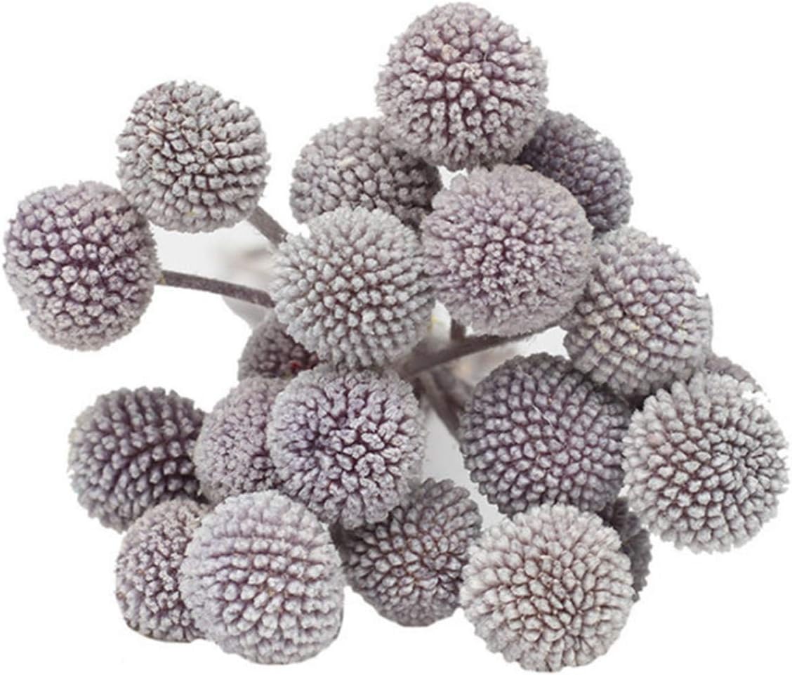 INVISIKAYAK Craspedia globosa Material Flower Immortal Eternal Flowers Gift (dark grey, 40pcs)