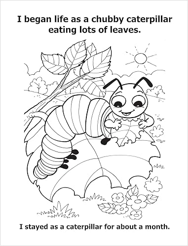 Miniatura 6 de ZOCO - Libros para colorear personalizados a granel (paquete de 300) - Todo sobre insectos con mariposa Belinda - Libro educativo para colorear y