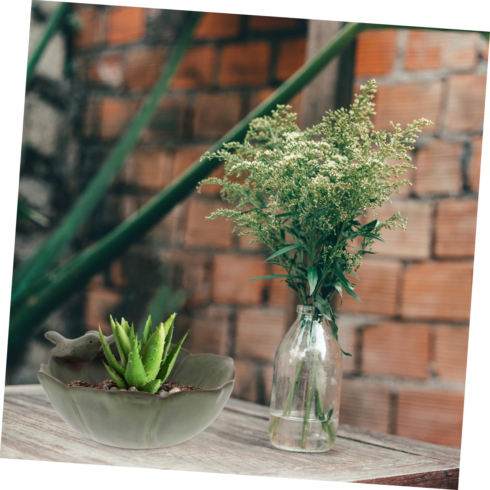 Toyvian Vaso Di Fiori Increspato Pianta Ciotole Succulente Da Giardino Succulento Decorativo Fioriere Piccolo Argilla Vaso Succulento Con Fori Carino Arredamento Fioriera Ceramica