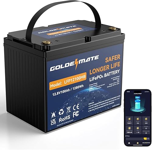 GOLDENMATE Batería Bluetooth LiFePO4 de 12 V 100 Ah Grupo 24, batería de litio de ciclo profundo, BMS de 100 A integrado, hasta 15000 ciclos,