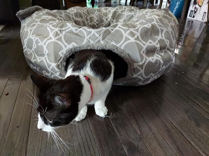 Review Image by Amazon Customer