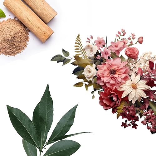 Miniatura 8 de Aromaplan Aceite difusor de aroma para hotel, té blanco, 5 onzas líquidas, aceite de fragancia de lujo para hotel y hogar, no tóxico, fabricado en