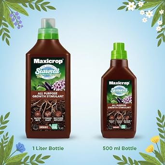 Maxicrop Original Seaweed Extract Liquid Plant Feed, All Purpose Growth Support for Flowers, Vegetables, Lawns & Houseplants, Organic Seaweed Formula, (1 Litre)